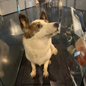 Profile Picture of Edward Griffith (@edwardgriffith3633) on Youtube