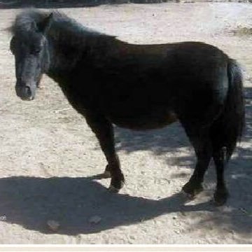 Profile Picture of Will Smith Mozart (@munir_bot2) on Twitter