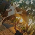 Profile Picture of Venâncio Garcia (@venancio.garcia.oficial) on Instagram