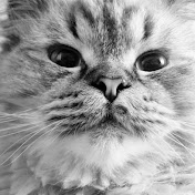 Profile Picture of Jonathan Montero (@JonathanMonteroVFX) on Youtube