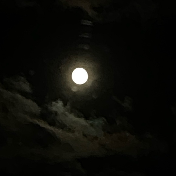 Profile Picture of Alissa Mccarthy (@mccalissa) on Poshmark