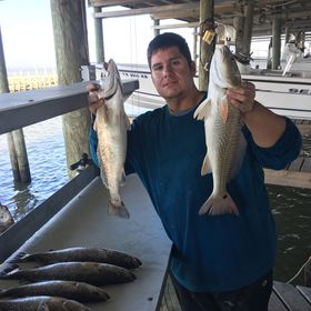 Profile Picture of Greg Austin (@gregmaustin) on Pinterest