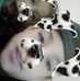 Profile Picture of Angie Validez (@angie.validez) on Facebook