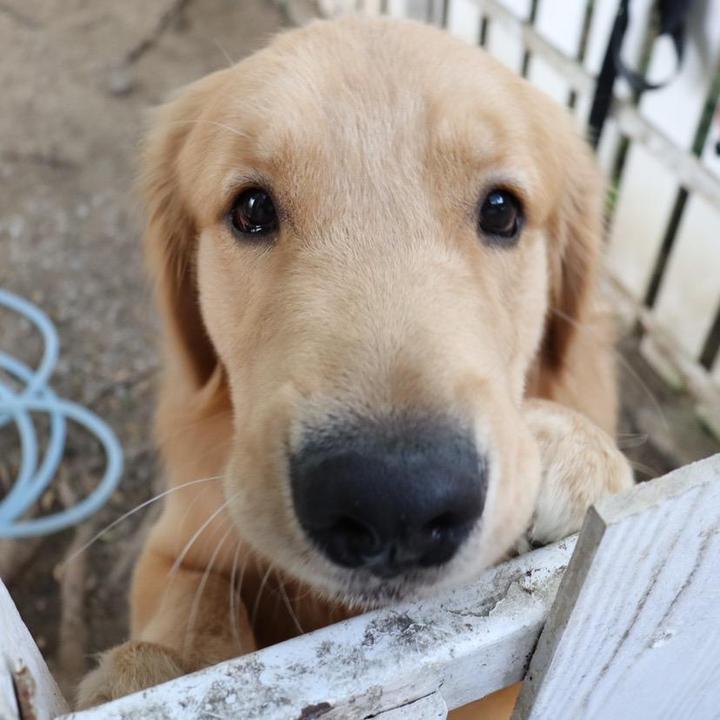 Profile Picture of Dustin swag (@@dustinswag) on Tiktok