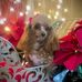 Profile Picture of Constance Bass (@constance.bass.5) on Facebook