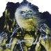 Profile Picture of jonathan la fey (@jonathanlf1777) on Pinterest