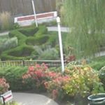 Profile Picture of Jacqueline Bradshaw (@jacquelinebradshaw) on Instagram