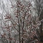 Profile Picture of Kathy Prenosil-Kapustka (@prenosilkapustka) on Instagram