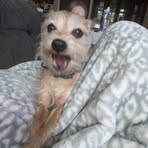 Profile Picture of Jeanine Kramer (@jeanine.kramer.2025) on Facebook