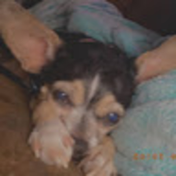 Profile Picture of Katelyn Lewis (@katelynnn977) on Poshmark