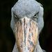 Profile Picture of Mark Sholtes (@marksholtes) on Pinterest