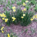 Arthur Lynn McCord Payne - Instagram Profile Picture of Arthur Lynn McCord Payne (@arthurlynnpayne) on Instagram