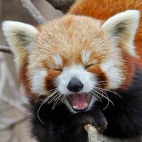 Profile Picture of Eric Ching (@eric-ching-7) on Quora
