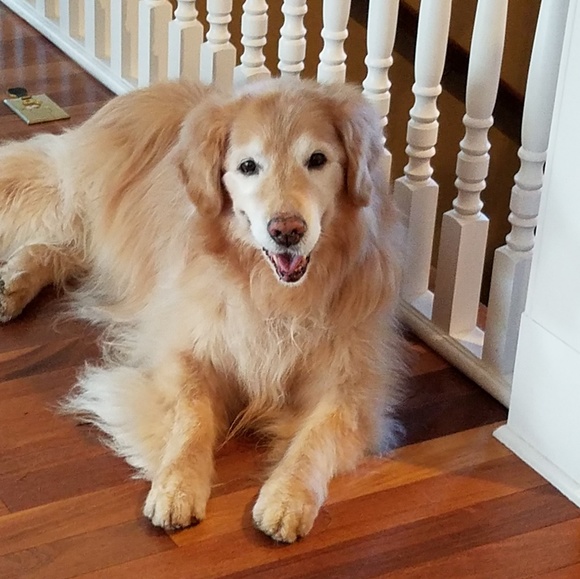 Profile Picture of Brian Pease (@bjp7575) on Poshmark