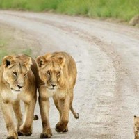 Mahmoud Wahab - Quora Profile Picture of Mahmoud Wahab (@mahmoud-wahab-2) on Quora