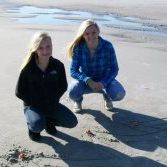 Profile Picture of Lori Hummel (@lorihummel) on Pinterest