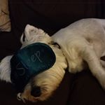 Profile Picture of Doris Levy Davidson (@doris.davidson.3705) on Instagram