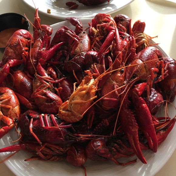 Profile Picture of Trucle Tammy (@elenapham) on Poshmark