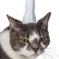 Profile Picture of Doug Mccoy (@dougbmccoy) on Pinterest