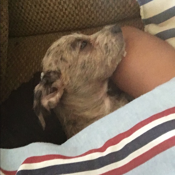 Profile Picture of Emmily Juarez (@bells_nxght) on Poshmark