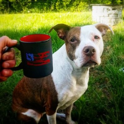 Profile Picture of Christopher McFadden (@CBMcFadden) on Twitter