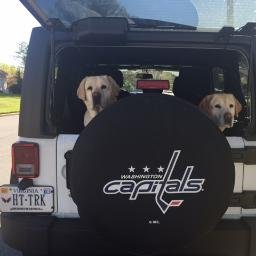 Profile Picture of Robin Barlow (@wwwrobina) on Twitter