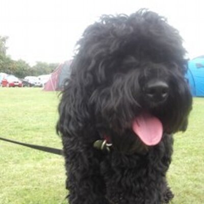 Profile Picture of Kate Curtis (@Katecurtis36) on Twitter