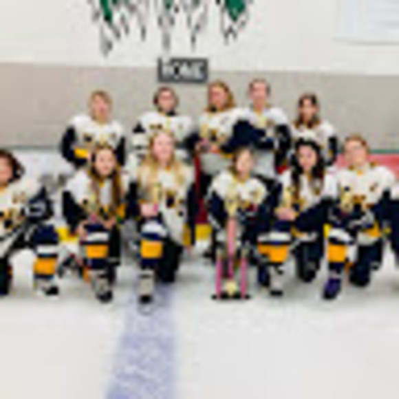 Profile Picture of Ashlyn Bendickson (@bendicas) on Poshmark