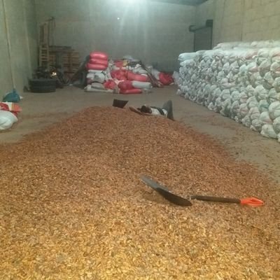 Profile Picture of Ariel Salgado Osegueda (@OseguedaAriel) on Twitter