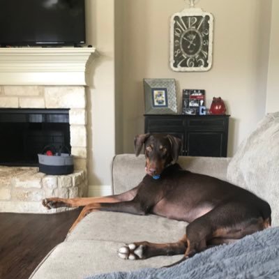 Profile Picture of Lisa Giddings (@lisagid8) on Twitter