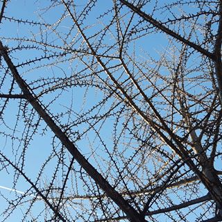 Profile Picture of Francesca Pacelli (@francesca.pacelli.98) on Facebook