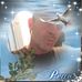 Profile Picture of Carl Hoffmann (@carl.hoffmann.146) on Facebook