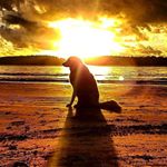 Profile Picture of Jason Rampone (@jasonrampone) on Instagram