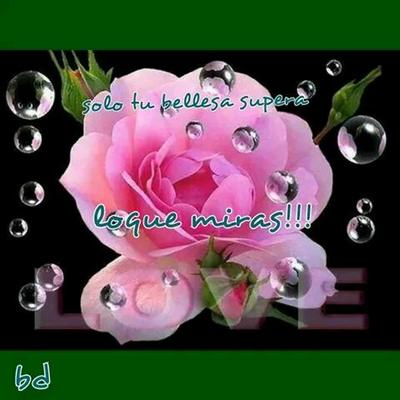 Profile Picture of Fany Gonzalez (@fanygonzalez611) on Twitter