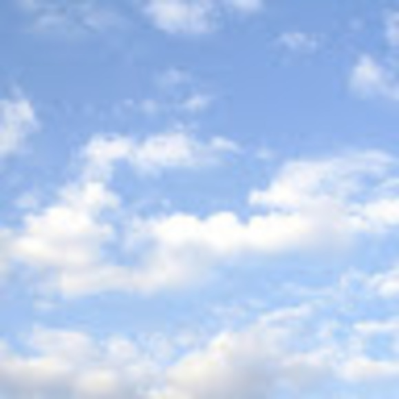 Profile Picture of David Dinenna (@daviddinenna15) on Poshmark