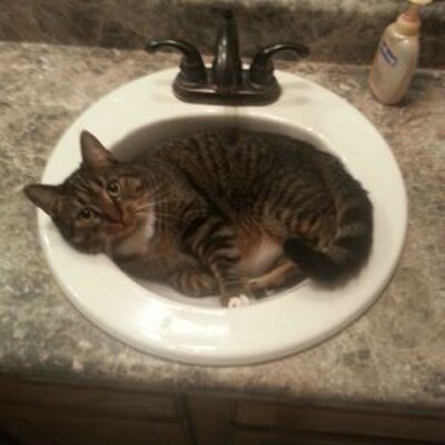 Profile Picture of Jason Mullikin (@tnkid227) on Twitter