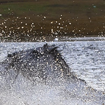 Profile Picture of Xu Lu (@manbu911) on Flickr