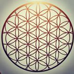 Profile Picture of Jeff Colley (@consciousbeeings) on Instagram