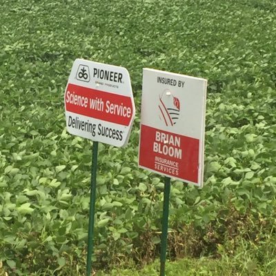 Profile Picture of Brian Bloom (@bbloom06) on Twitter