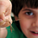 Profile Picture of Richard Baghdadlian (@Digital Dick Photography) on Flickr