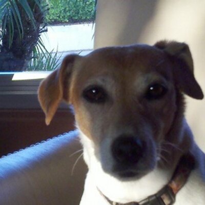 Profile Picture of Dennis Wacker (@domingo_dennis) on Twitter