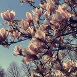Profile Picture of Neele_rumker (@neele_rumker) on Instagram
