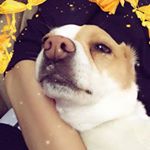 Profile Picture of Buddy Brady Maurice Caines (@handsome.spud) on Instagram