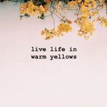 Profile Picture of Jada Helms (@jada.helms.330) on Instagram