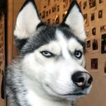 Profile Picture of Scott Reeder (@itsscottr) on Instagram