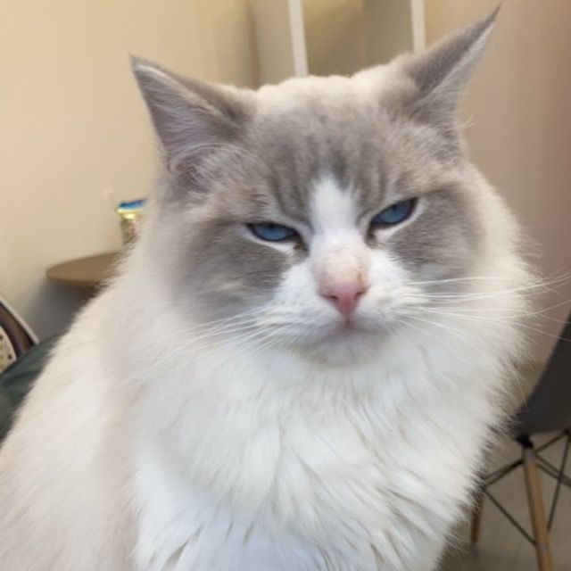 Profile Picture of Emmaline (@emswatt05) on Tiktok