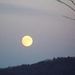 Profile Picture of Paulette Neidigh (@neidighp) on Pinterest