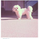 Profile Picture of Buddy Simpson ❤ (@imbuddysimpson) on Instagram