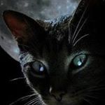 Profile Picture of Barbara Scully (@bna204) on Instagram