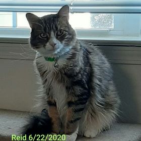 Profile Picture of JoAnn P Hansen (@JiJi216) on Pinterest